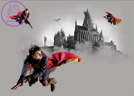 Plakát do dětského pokoje 155x110cm - HARRY POTTER FTDNM971 - 411