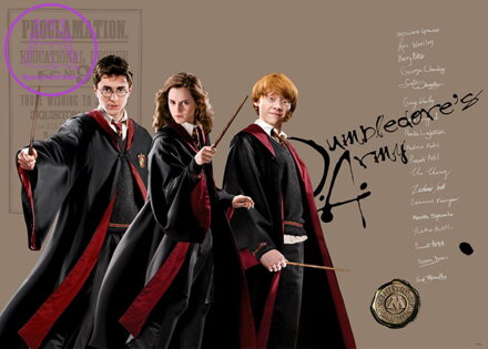 Plakát do dětského pokoje 155x110cm - HARRY POTTER FTDNM972 - 410