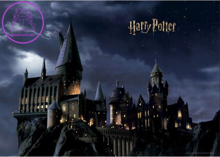 Fototapeta do dětského pokoje 252x182cm Harry Potter -  FTDXL 0984