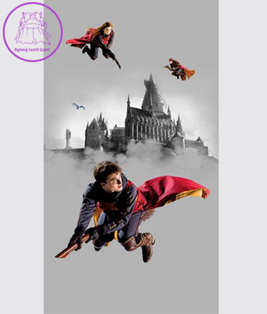  Fototapeta do dětského pokoje 150x270cm Harry Potter - FTD2P0595 - 411