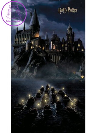  Fototapeta do dětského pokoje 150x270cm Harry Potter - FTD2P 0956