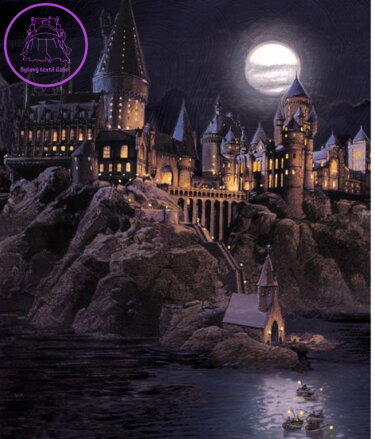  Fototapeta do dětského pokoje 225x270cm Harry Potter - FTD3P 0962