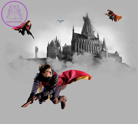  Fototapeta do dětského pokoje 300x270cm Harry Potter -  FTNXXL0581- 411