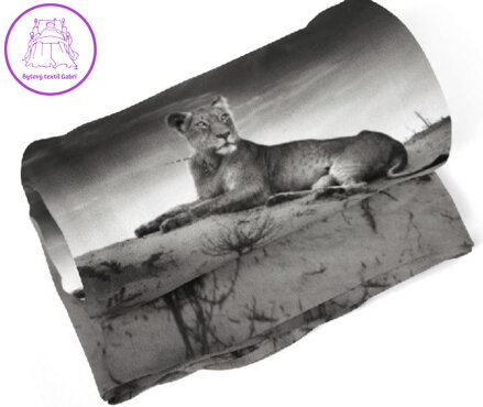 Fleecová fotodeka - Ležící lvice více rozměrů