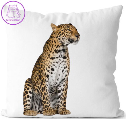  Fotopolštářek s efektem 3D 40x40cm - Sedící gepard