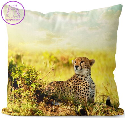 Fotopolštářek s 3D efektem 40x40cm - Gepard