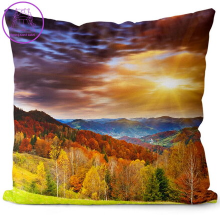  Fotopolštářek s 3D efektem 40x40cm - Lesní údolí