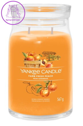 YANKEE CANDLE SIGNATURE VELKÝ - FRESH FARM PEACH 567g Výprodej