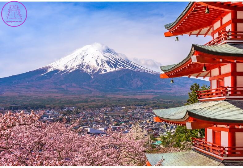 Vliesová fototapeta 360x270cm - FTNXXL 1238 Kvetoucí sakura v Japonsku