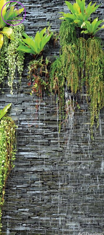 Fototapeta vliesová vertical - FTNV 2889 zeleň na stěně 90x202cm - 1 dílná