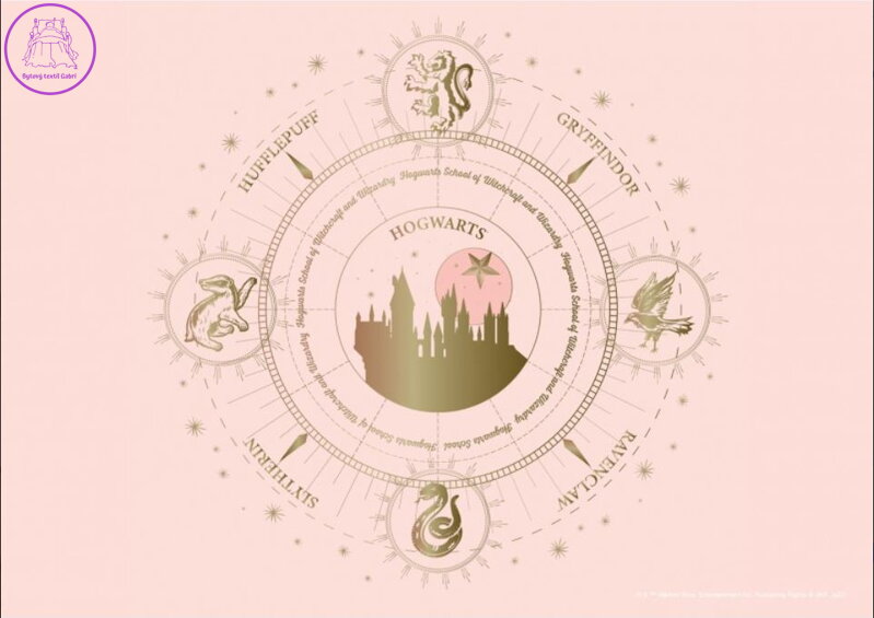 Plakát do dětského pokoje 155x110cm - HARRY POTTER FTDNM 0976