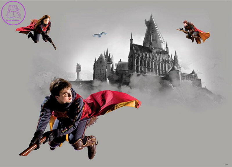 Plakát do dětského pokoje 155x110cm - HARRY POTTER FTDNM971 - 411