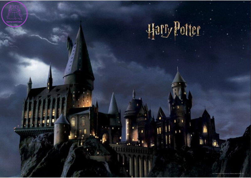 Fototapeta do dětského pokoje 252x182cm Harry Potter -  FTDXL 0984