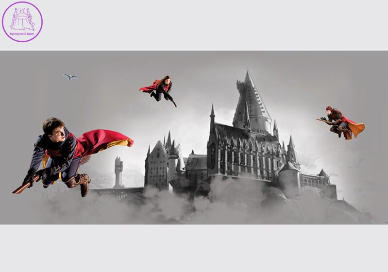 Fototapeta do dětského pokoje 170x75cm Harry Potter -  FTDNH980 - 411