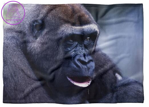 Fleecová fotodeka - Gorila více rozměrů Fleecová fotodeka - Gorila více rozměrů