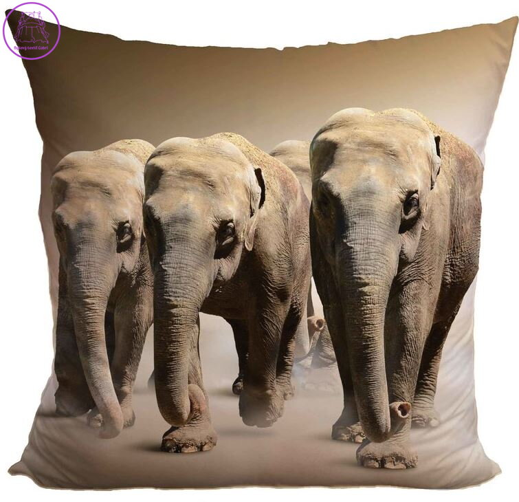 Fotopolštářek s efektem 3D 40x40cm - Stádo slonů Fotopolštářek s efektem 3D 40x40cm - Stádo slonů