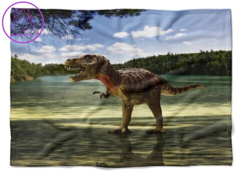Fleecová fotodeka - Tyrannosaurus více rozměrů