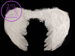 Andělská křídla 30x40 cm