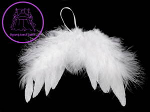 Dekorace andělská křídla s glitry
