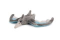 Pterosaur plyš 29x18cm šedivý 0m+
