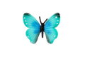 Motýl tropický Morpho Helena zooted plast 7cm v sáčku