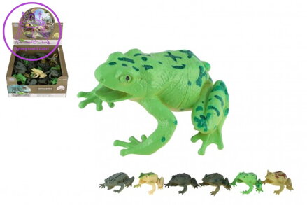 Žába plast 7x7cm mix druhů 36ks v boxu