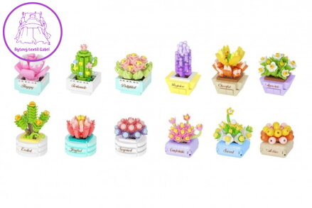 Stavebnice mini KOCO Sukulent v květináči plast mix druhů v krabičce 8x12x4cm 12ks v boxu