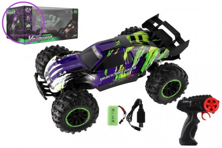 Auto RC Buggy rychlostní 2,4GHz plast 40cm dobíjecí pack+baterie fialové v krabici 42x21x28cm