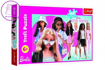 Puzzle Barbie a její svět 41x27,5cm 160 dílků v krabici 29x19x4cm