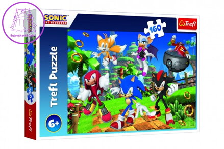 Puzzle Sonic a přátelé/Sonic The Hedgehog 41x27,5cm 160 dílků v krabici 29x19x4cm