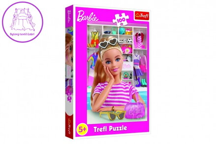 Puzzle Seznamte se s Barbie 100 dílků 41x27,5cm v krabici 19x29x4cm