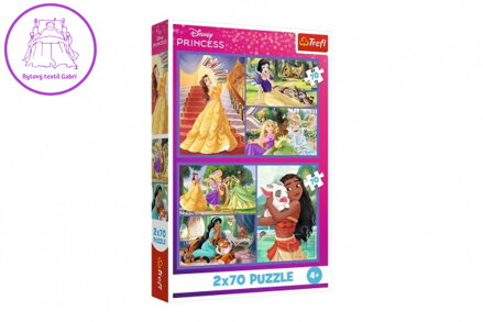 Puzzle 2x70 Disney Princezna - Pohádkové dny 27,5x18cm v krabici 19x29x4cm