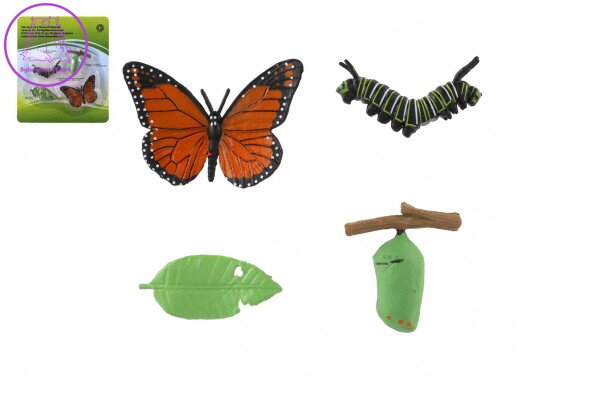 Vývoj motýla babočky plast 4ks na kartě 19,5x22,5x2,5cm Vývoj motýla babočky plast 4ks na kartě 19,5x22,5x2,5cm