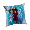 Jerry Fabrics Polštářek Frozen 02 Family 40x40 cm