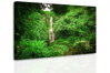 Obraz na stěnu Vodopád v lese