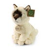 PLYŠ Kočka ragdoll 23cm *PLYŠOVÉ HRAČKY*