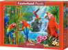 CASTORLAND Puzzle Setkání papoušků 2000 dílků