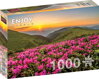 ENJOY Puzzle Růžový soumrak 1000 dílků