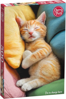 CHERRY PAZZI Puzzle Tady velím já 500 dílků