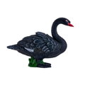 Mojo Labuť černá
