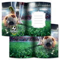 Památník JUNIOR 14x18 cm, 80 list. čistý - Football