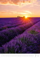 Nástěnný kalendář 2026 Provence