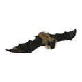 Dekorace netopýr 40 cm