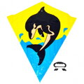 Drak 72x68 cm, 7 druhů