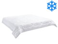 Přikrývka Luxus plus 240x200cm zimní 2160g