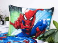 Jerry Fabrics Povlečení Spiderman 05 140x200, 70x90 cm