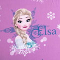 Jerry Fabrics Prostěradlo Frozen Duo Sisters 02 90x200x25 cm