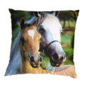 Dadka Fotopolštářek Koně 40x40 cm