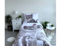 Jerry Fabrics Povlečení fototisk Kitten grey 140x200, 70x90 cm
