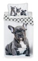 Jerry Fabrics Povlečení fototisk Bulldog 140x200, 70x90 cm